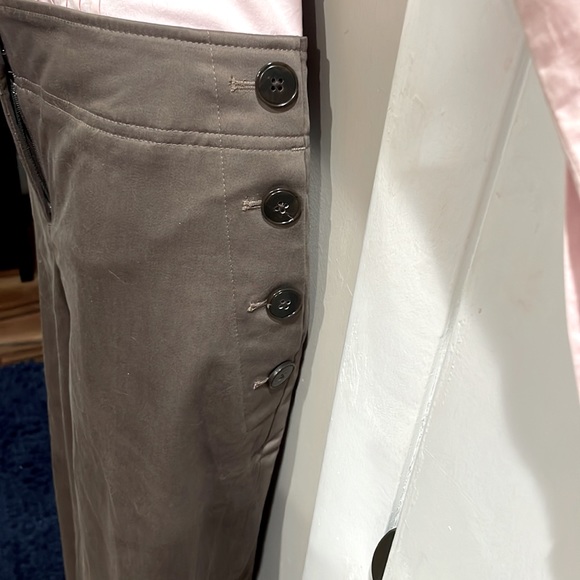 NWT—Ann Taylor Marisa Modern Fit Pants - Picture 3 of 6